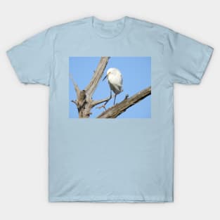 Snowy egret, wild birds, wildlife gifts T-Shirt